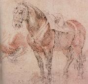 Peter Paul Rubens Horse Germany oil painting artist